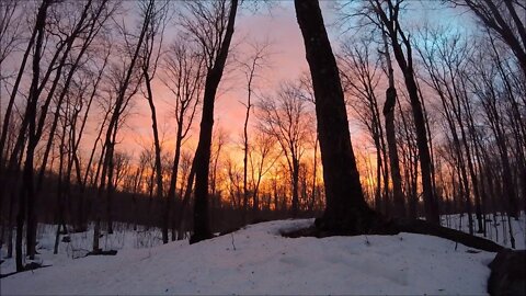 Winter FPV :Snow and Ice Drone Flights