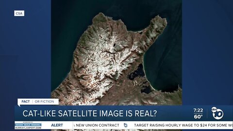 Fact or Fiction: Cat-like satellite image is real?