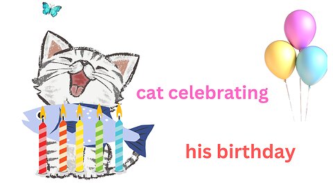 A cute cat celebrating his birthday.