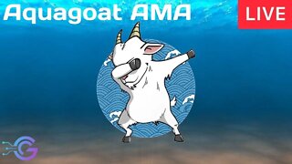 Aquagoat Weekly AMA Livestream August 13th