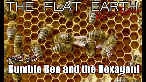 Part 11 History of Us " Hexagon and the Bumble Bee"