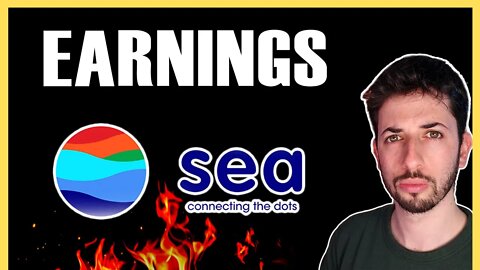 Sea Limited Earnings: The Good and The Bad | SE Stock