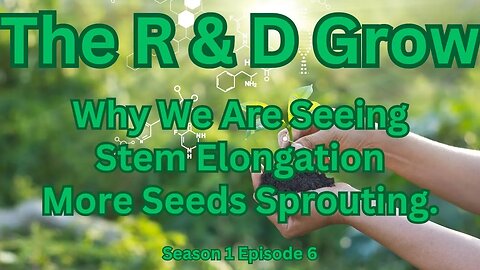 The R&D Grow S1 Ep 6 Why We Are Seeing Stem Elongation