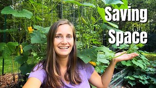 Gardening in a Small Space - How I Maximize my Vegetable Yield from my Small Garden