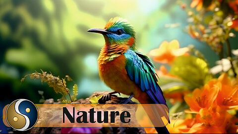 Heart Healing Serene Music, Birds, and Nature Scenes - Calming the Nervous System and Soul Soothing