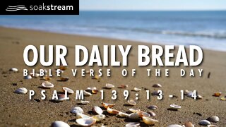 A Bible Verse To KNOW YOUR VALUE IN CHRIST! - OUR DAILY BREAD - Psalm 139:13-14 #shorts