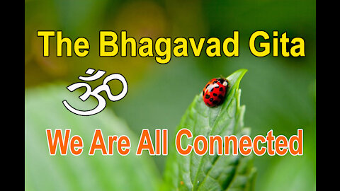 Bhagavad Gita, Chapter 6 Verse 29: We Are all Connected