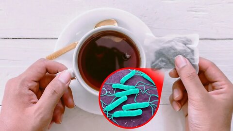 Study Reveals INSANE Amount of Bacteria in Tea Bags