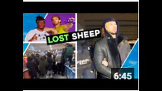 LOST SHEEP