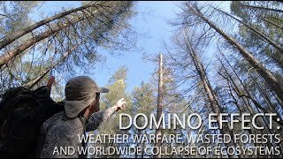Domino Effect: Weather Warfare, Wasted Forests and Worldwide Collapse Of Ecosystems