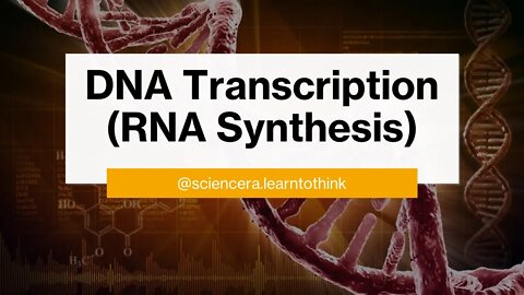 DNA Transcription: How RNA is Made - BMI2601
