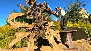 Never grind a tree stump until you watch this video!!!