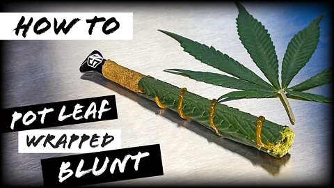 HOW TO POT LEAF WRAPPED BLUNT