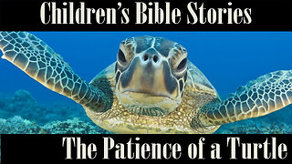 Children's Bible Stories-The Patience of a Turtle