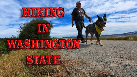Hiking Washington State | Padilla Bay Day Hike