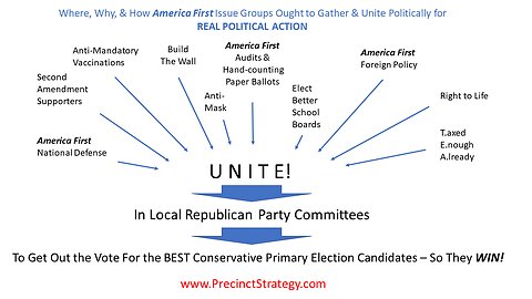 Precinct Strategy Issues versus Action -- WAYGTDAI? Dan Schultz May 1 2023