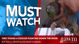 Campers Completely Freaked Out By Contents Of Cooler They Find Floating Down River