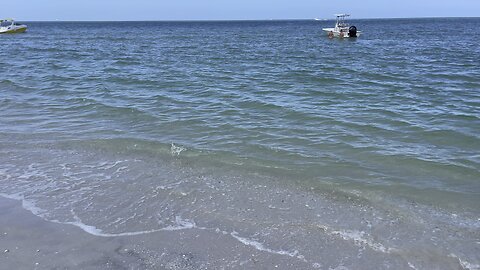 Little Hickory Beach in Bonita Springs, FL (Widescreen) #4K #DolbyVisionHDR ￼