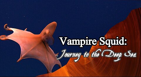 Vampire Squid: Journey to the Deep Sea