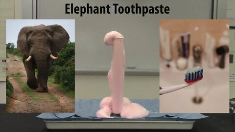 Elephant Toothpaste - A Catalysis Example to do with your children!