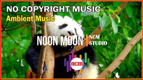 Noon Moon - Mike Block feat Folk Physics: Ambient Music, Bright Music, Happy Music