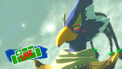 Revali - The Rito Warrior - Hyrule Warriors Age of Calamity LIVE