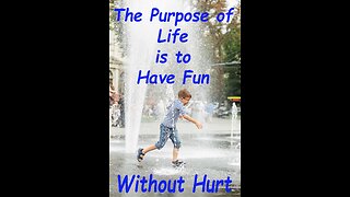 The Purpose of Life is to have