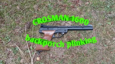 Crosman 1600 *backporch plinking