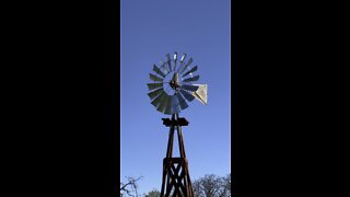 Almond Ranch Windmill