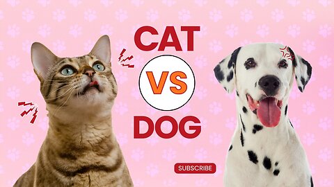 Cat vs. Dog: Understanding their Complex Relationship | interactions between cats and dogs..