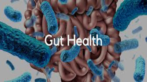 Boost Your Health with These Surprising Benefits of Good Gut Bacteria!