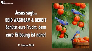 11.02.2016 ❤️ Jesus sagt... Seid wachsam und bereit und schützt eure Frucht, denn eure Erlösung ist nahe