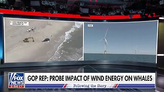 Probe: The Impact Of Wind Energy On Whales