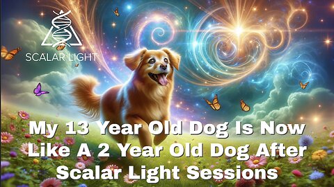 My 13 Year Old Dog Is Now Like A 2 Year Old Dog After Scalar Light Sessions