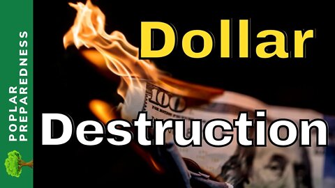 Petrodollar Inflation- Escape into Gold Investing, Cryptocurrency, and Hard Assets