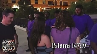 The Israelites | Taming Tiffany