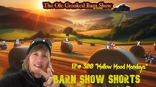 “Barn Show Shorts " Ep. #300 “Mellow Mood Mondays”