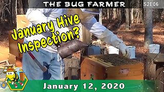 Hive Inspection - January 12, 2020 -- First hive inspection of the new year and hive heater update.