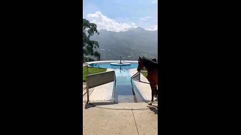 THIS IS AWESOME! A POOL FOR HORSES IN COLOMBIA ❤️🙏🏻🇺🇸