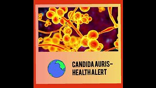 CANDIDA AURIS- HEALTH ALERT