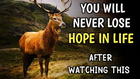 YOU_WILL_NEVER_LOSE_HOPE_IN_YOUR_LIFE_|_MOTIVATIONAL_STORY_OF_A_DEER_|_#hope #DreamChaser