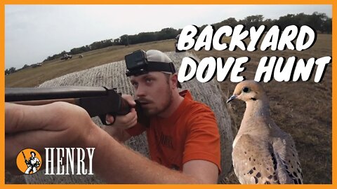 A Henry Dove Hunt | Ep 10 | Hunt with a Henry