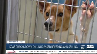 Kern County cracking down on unlicensed pet breeders