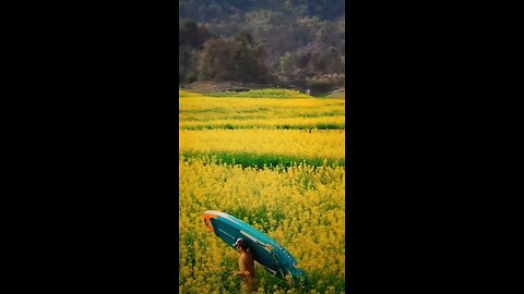 Canoeing On The Nature Mountainous Rivers And Streams Is A Great Enjoyable Experience!