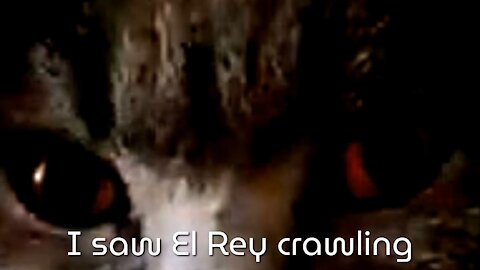 I saw El Rey crawling