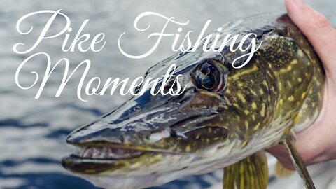 Pike Fishing Moments - How to Enjoy Pike Fishing in All Seasons