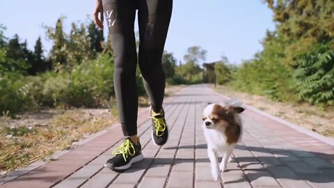 Young adult woman spending free time outdoor together with pet