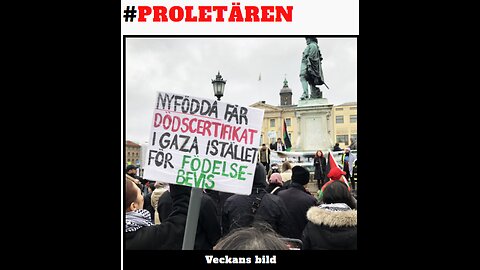 Swedish Communists & #freepalestine (del 2)