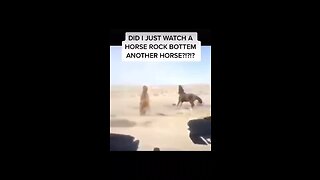 Horse video😬