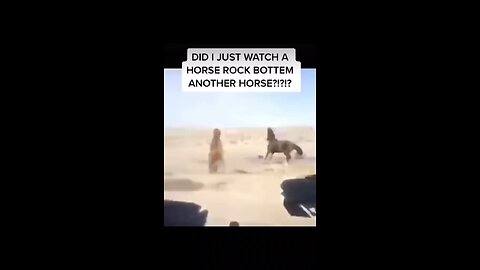 Horse video😬